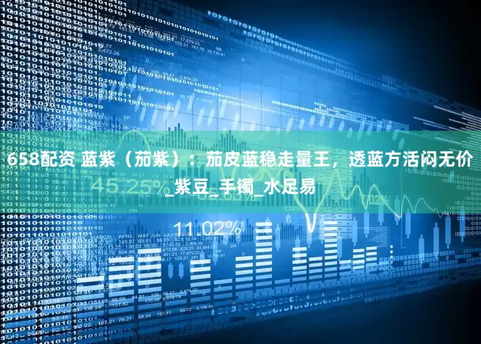 658配资 蓝紫（茄紫）：茄皮蓝稳走量王，透蓝方活闷无价_紫豆_手镯_水足易