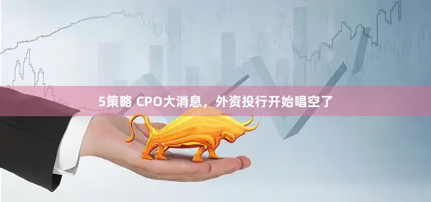 5策略 CPO大消息，外资投行开始唱空了